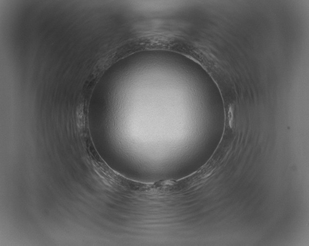 X0000073991395200608281302