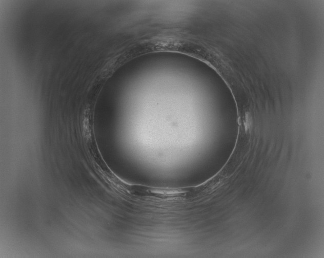 X0000073991396200608281302