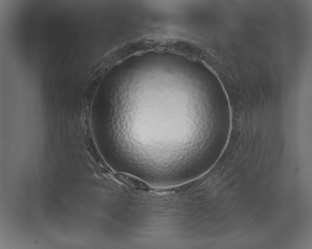 X0000073991397200608281302