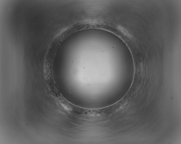 X0000073991398200608281302