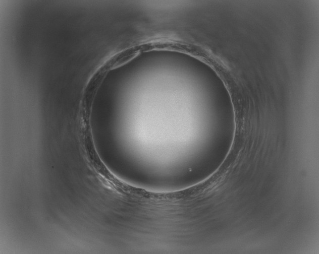 X0000073991400200608281302