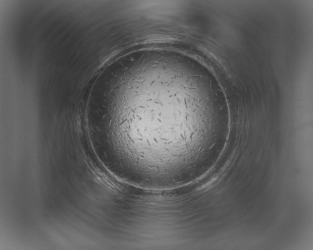 X0000073991401200608281302