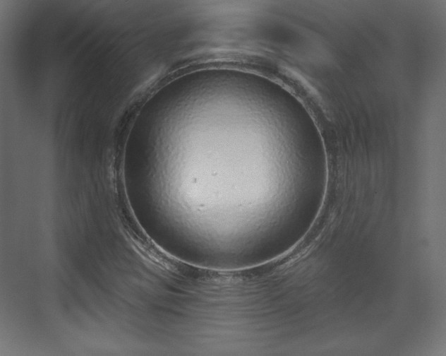 X0000073991403200608281302