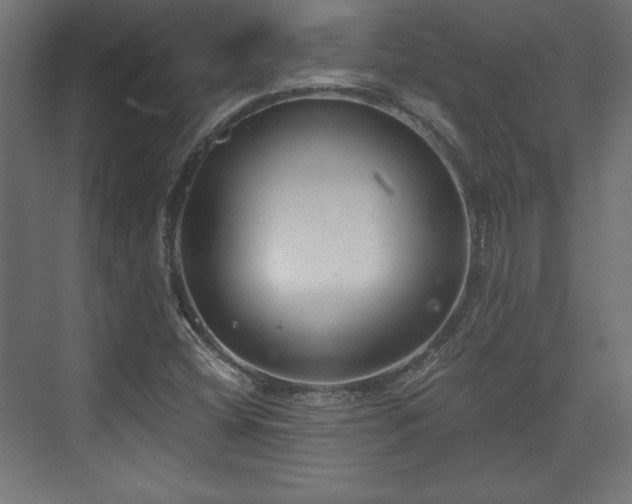 X0000073991404200608281302