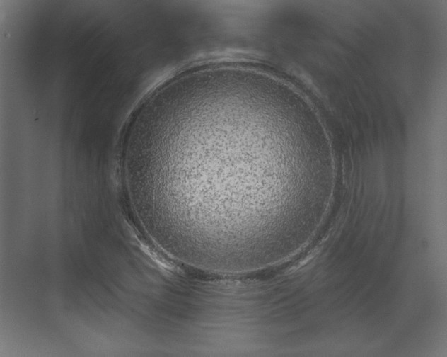 X0000073991405200608281302