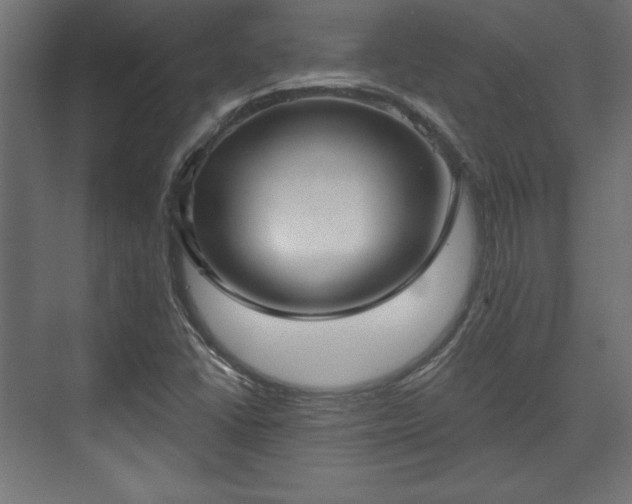 X0000073991406200608281302