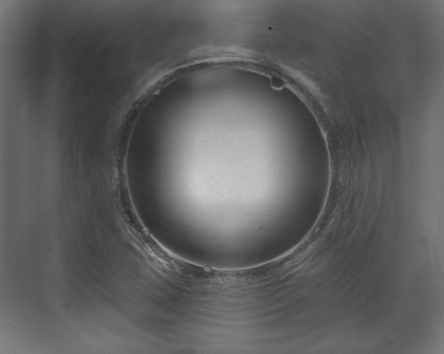 X0000073991407200608281302