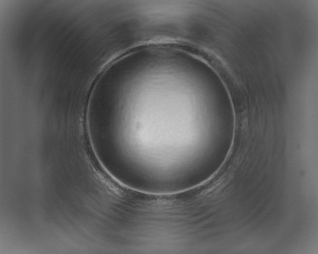 X0000073991409200608281302