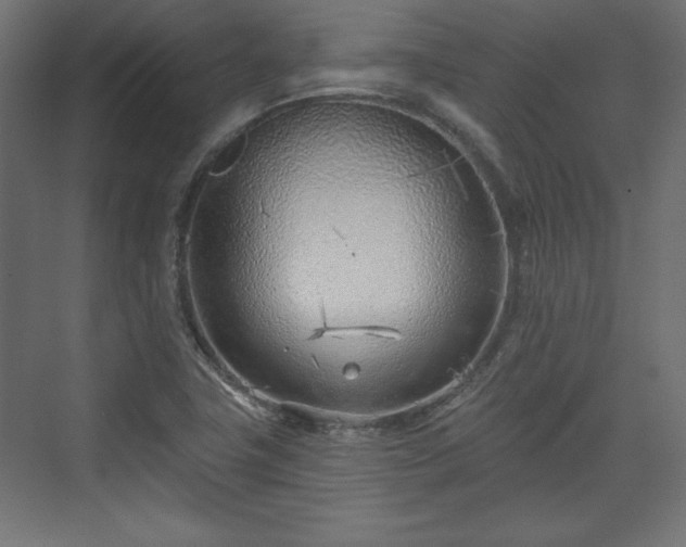 X0000073991411200608281302