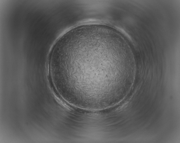 X0000073991413200608281302