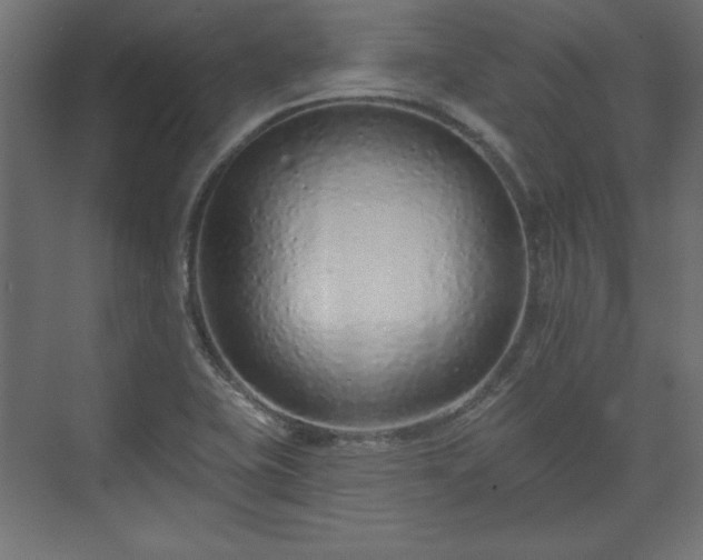 X0000073991415200608281302