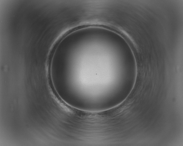 X0000073991416200608281302