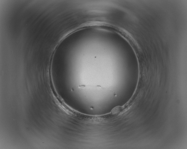 X0000073991417200608281302