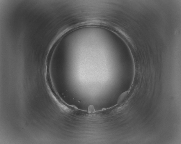 X0000073991418200608281302