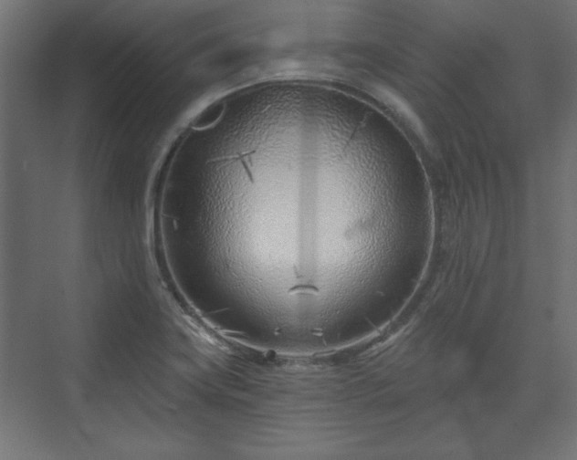 X0000073991419200608281302