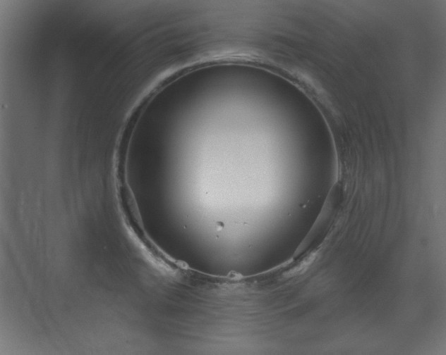 X0000073991422200608281302