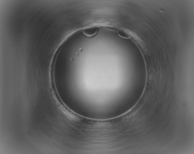 X0000073991423200608281302