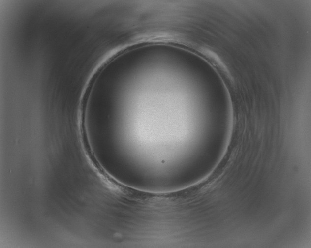 X0000073991424200608281302