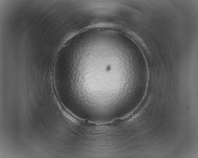 X0000073991425200608281302