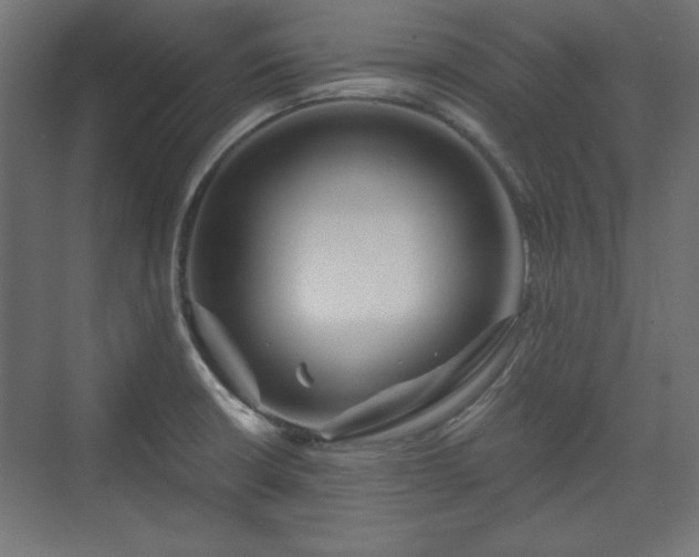 X0000073991426200608281302