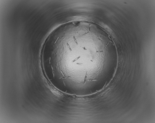 X0000073991427200608281302