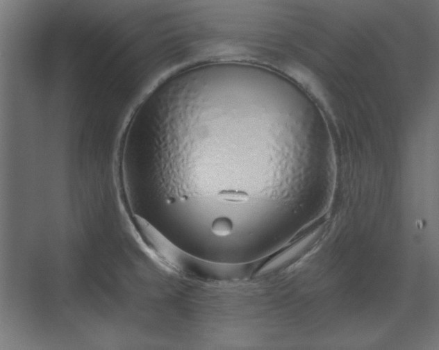 X0000073991429200608281302