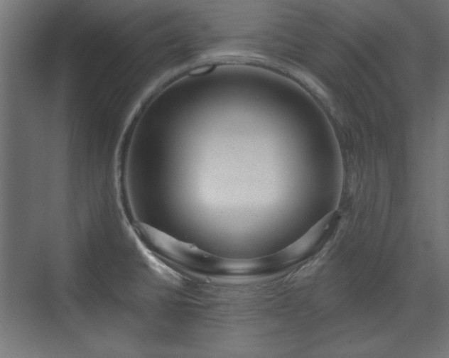 X0000073991430200608281302