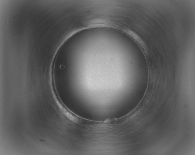 X0000073991431200608281302