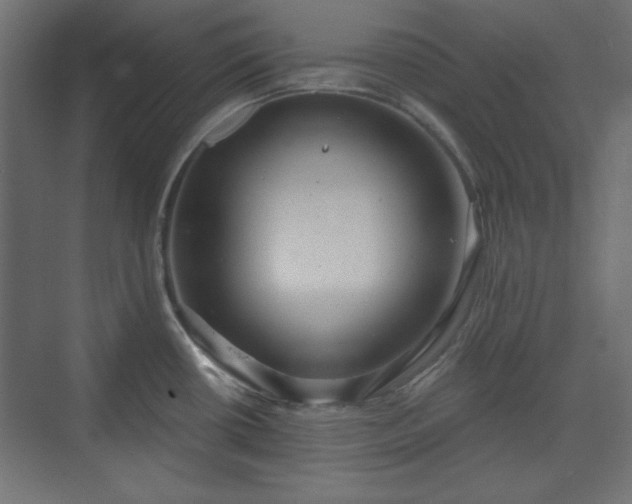 X0000073991434200608281302