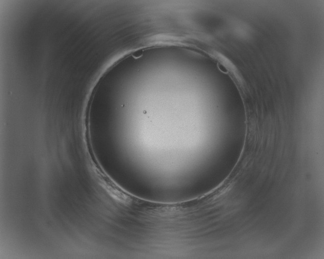 X0000073991435200608281302