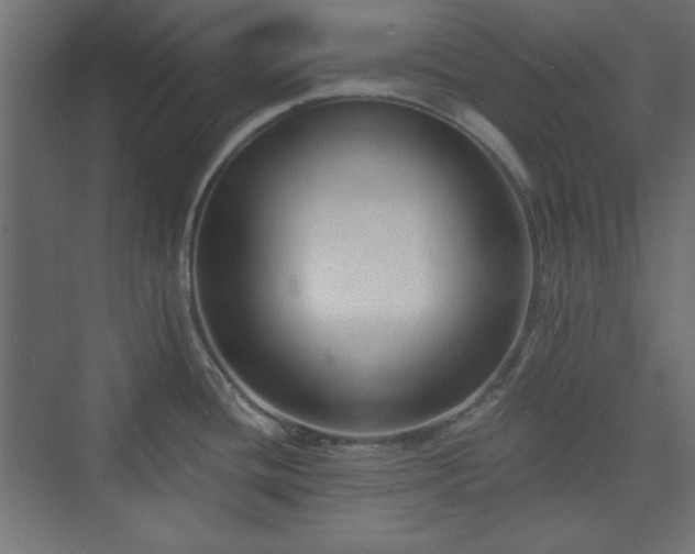 X0000073991436200608281302