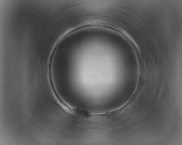 X0000073991437200608281302