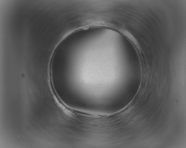 X0000073991439200608281302