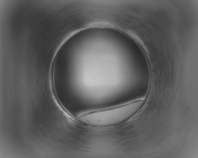 X0000073991440200608281302