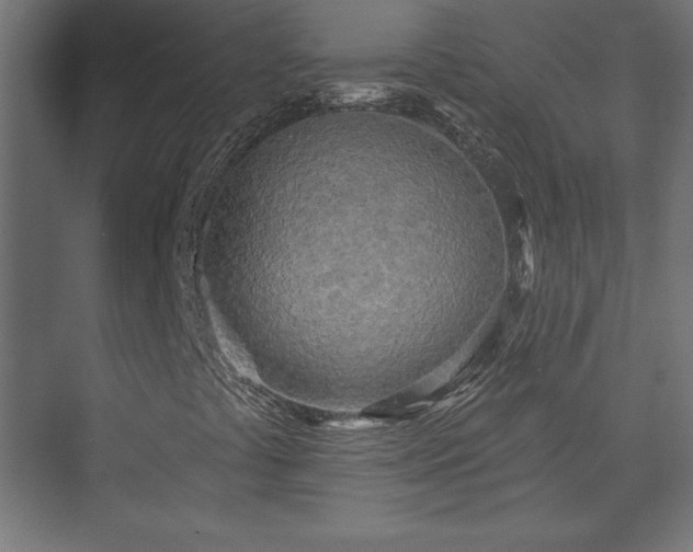 X0000073991441200608281302