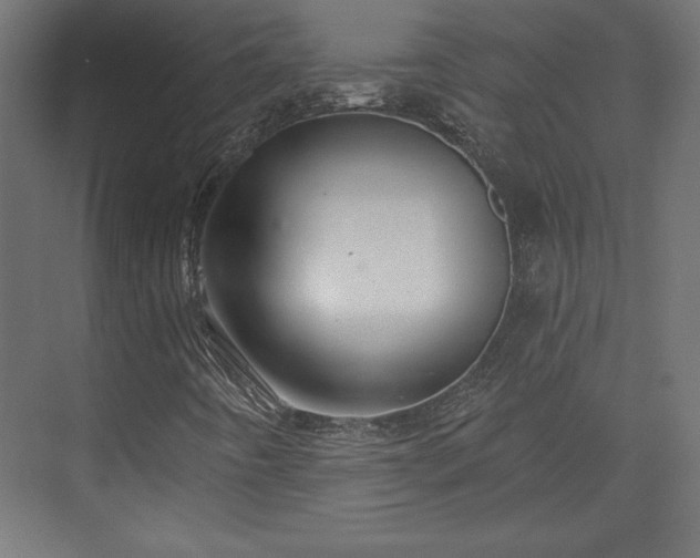 X0000073991442200608281301