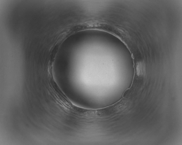 X0000073991444200608281301