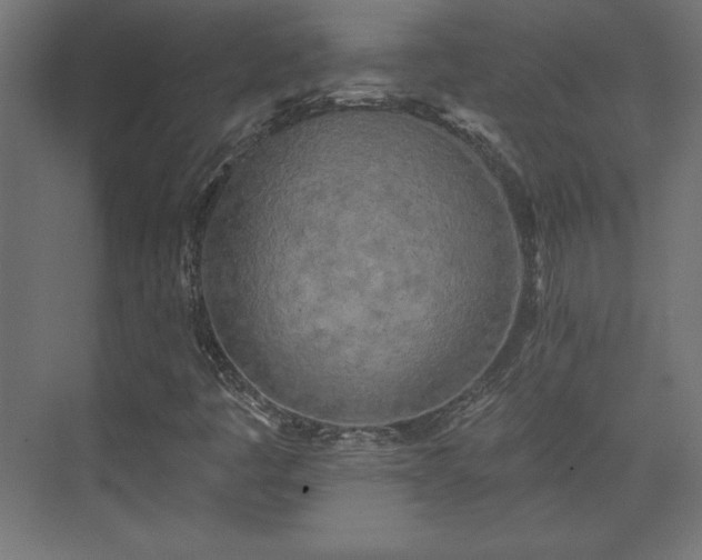 X0000073991445200608281301