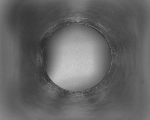 X0000073991446200608281301