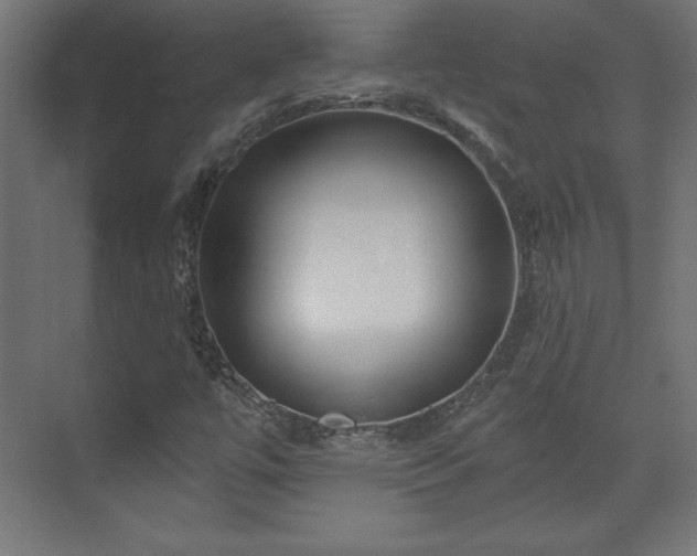 X0000073991447200608281301