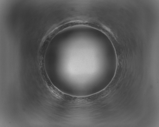 X0000073991448200608281301