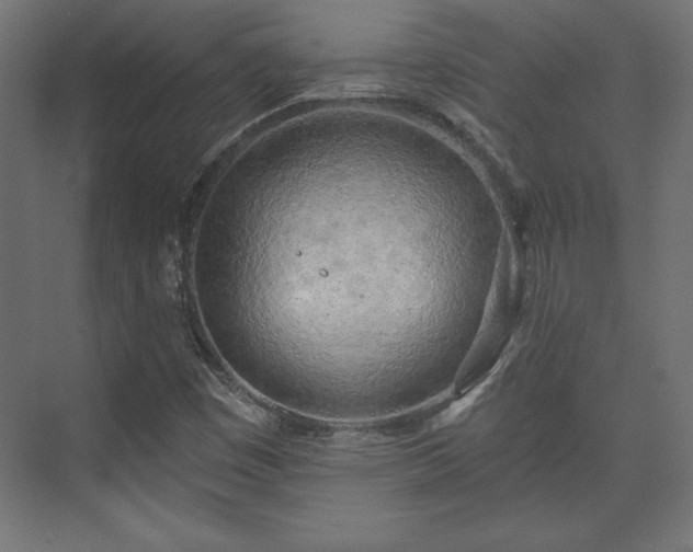 X0000073991449200608281301