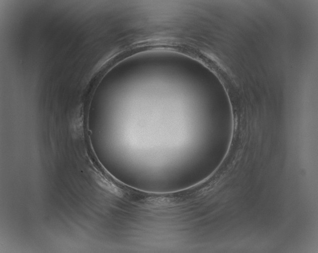 X0000073991450200608281301