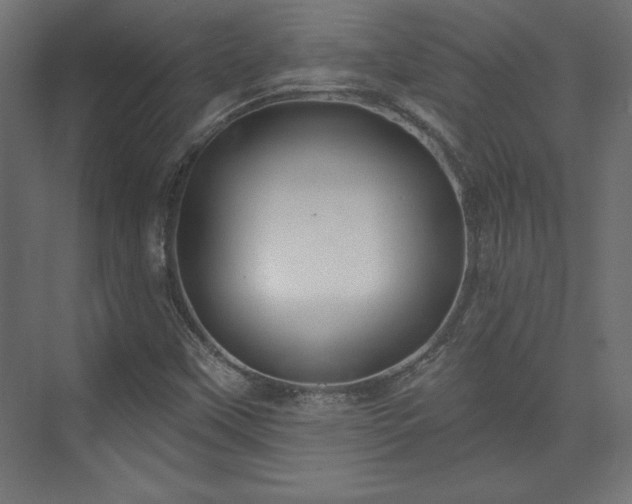 X0000073991451200608281301