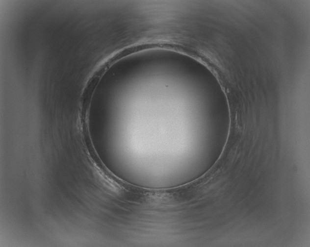 X0000073991452200608281301