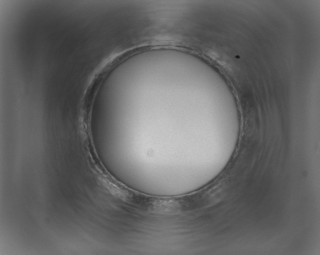 X0000073991454200608281301