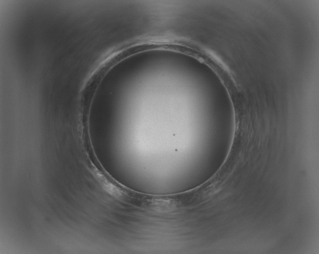 X0000073991456200608281301