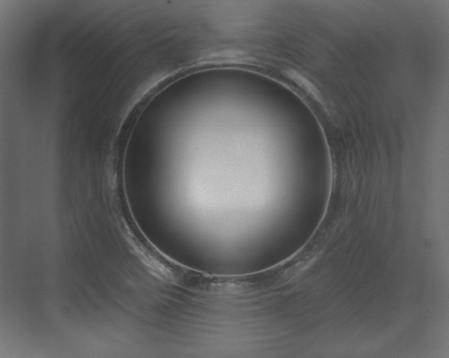 X0000073991458200608281301