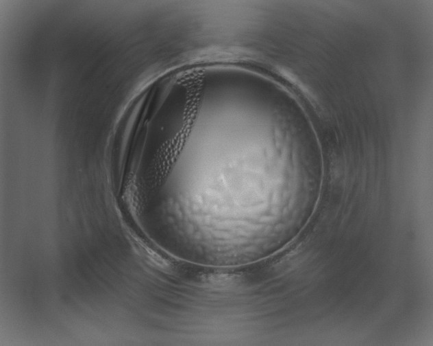 X0000073991459200608281301