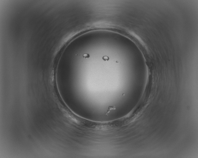 X0000073991461200608281301